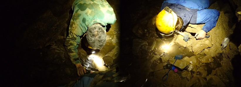 14213712932 d5c8050296 b