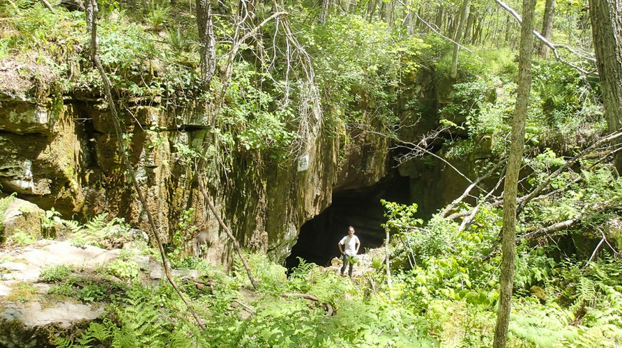 14236345043 2bf5b69d7b b