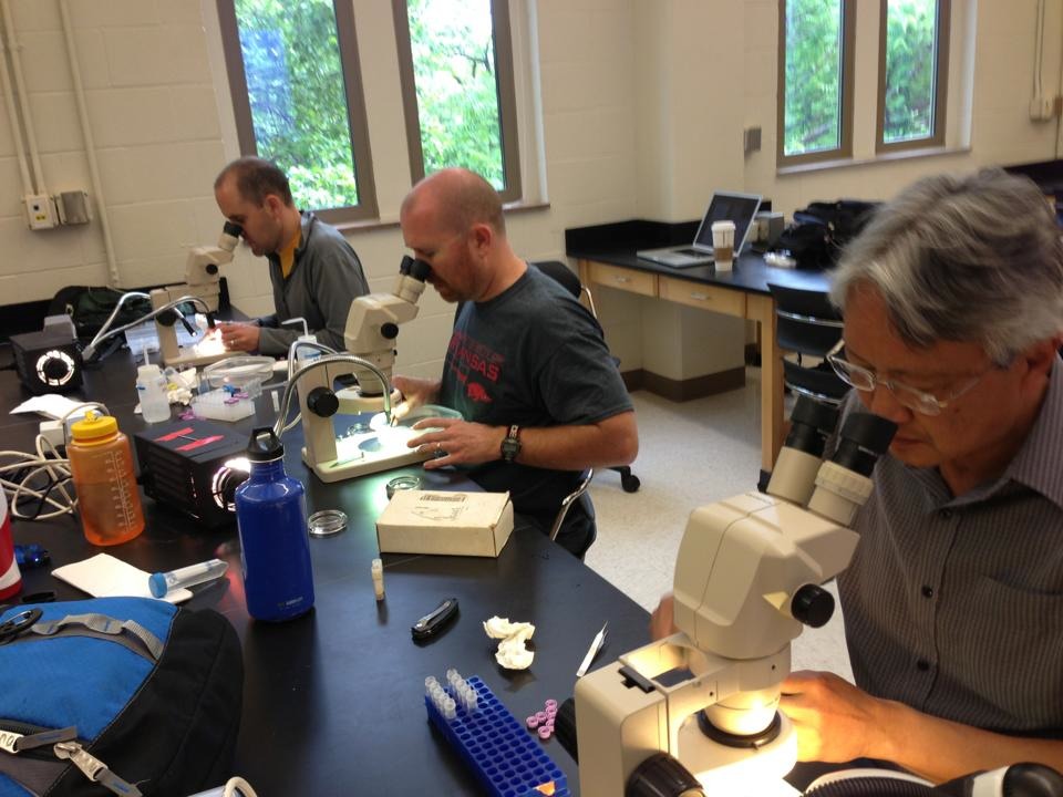 SWG_Group_UTK_Knoxville